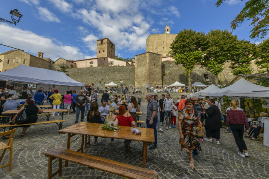 DOMENICHE IN…CASTAGNA!