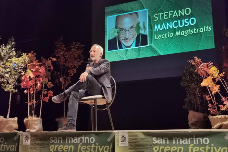 ARTE, ALBERI E RELAZIONI: Un festival che racconta il mondo Green